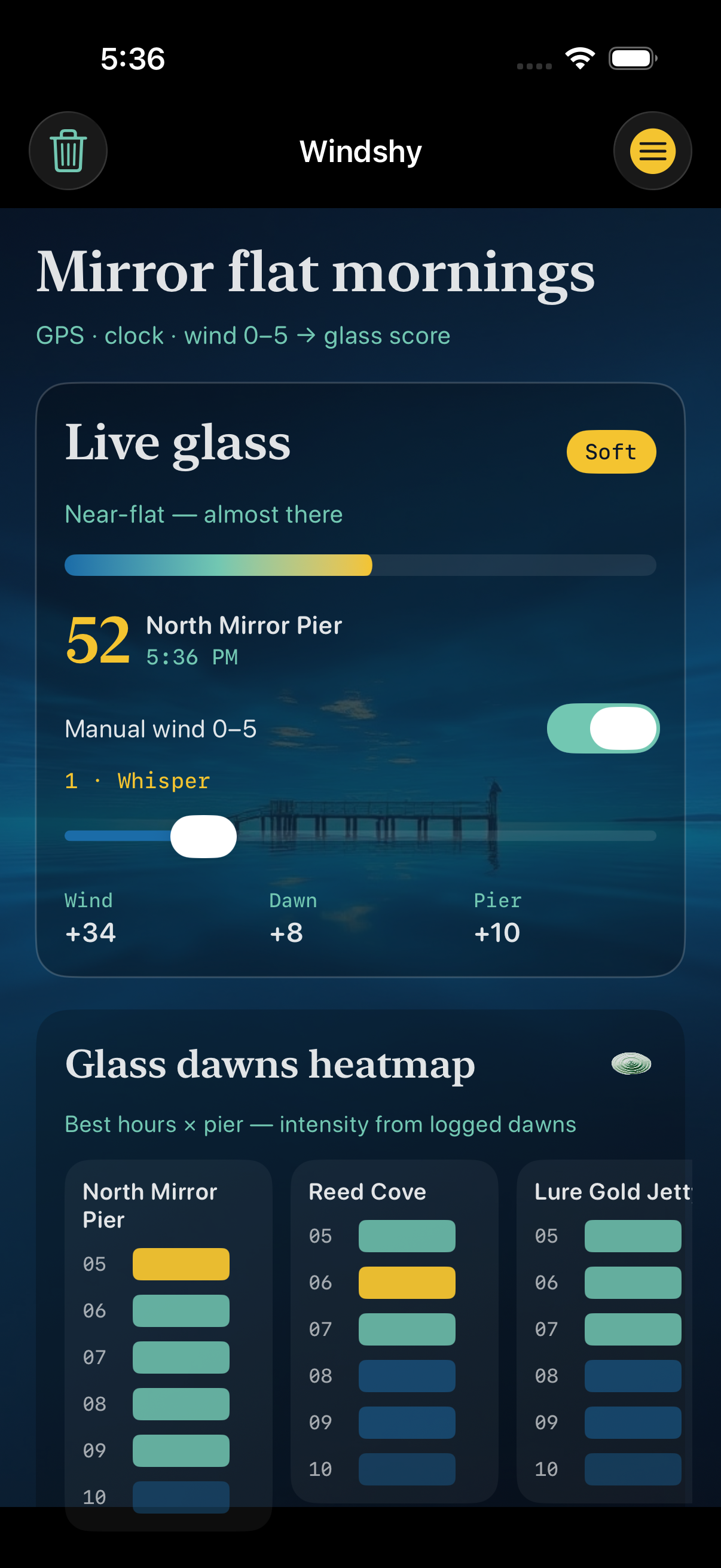 Windshy live glass canvas